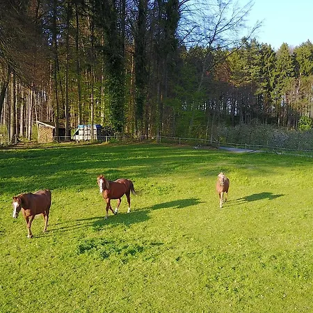 팜스테이 Zapfs Bauernhof *
