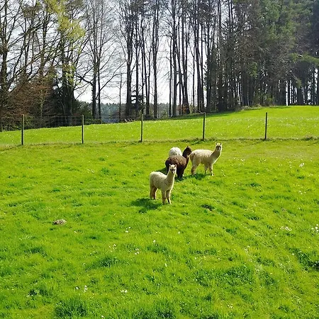 Séjour à la ferme Zapfs Bauernhof Tettnang