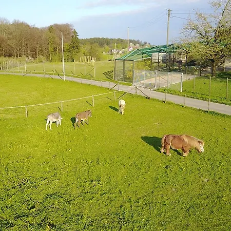 Zapfs Bauernhof *